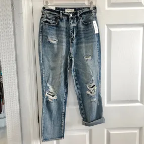 Pacsun Best Blues Mom Jeans - 27